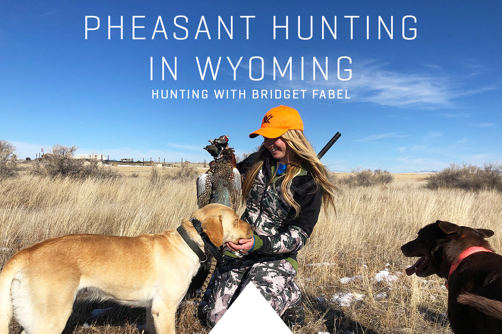 Pheasant Hunting in Wyoming